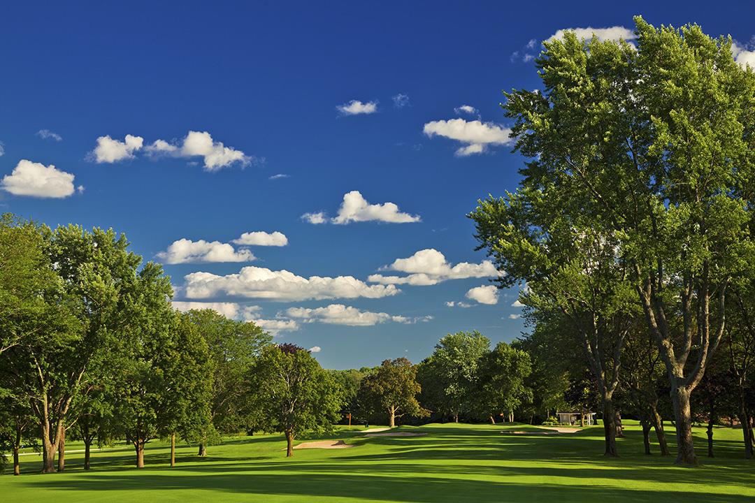 hole-15